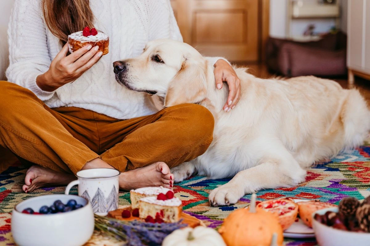 Human Foods That Can Harm Your Pets: What to Avoid
