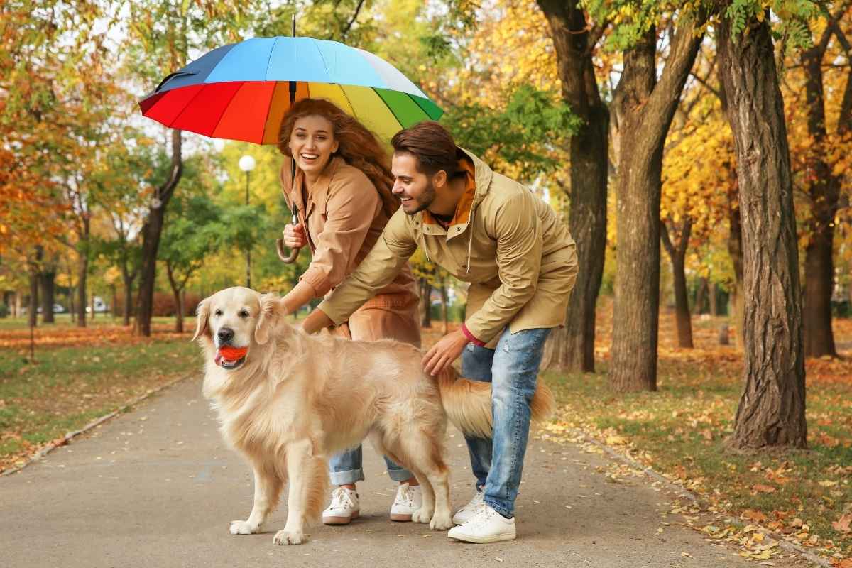 Simple Ways to Boost Your Pet’s Health Today